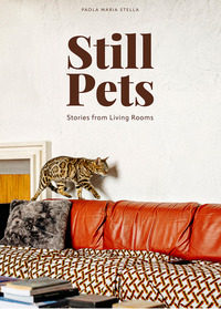 STILL PETS - STORIES FROM LIVING ROOMS
