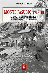 MONTE PASUBIO 1917 - 18 LA GUERRA DI EMIDIO FAROLFI UN PRETE SOLDATO IN PRIMA LINEA