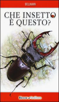 CHE INSETTO E\' QUESTO ?