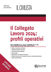 COLLEGATO LAVORO 2024 PROFILI OPERATIVI - IL CIVILISTA