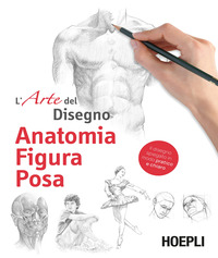 ARTE DEL DISEGNO - ANATOMIA FIGURA POSA