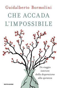 CHE ACCADA L\'IMPOSSIBILE - UN VIAGGIO INTERIORE DALLA DISPERAZIONE ALLA SPERANZA