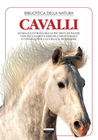 CAVALLI