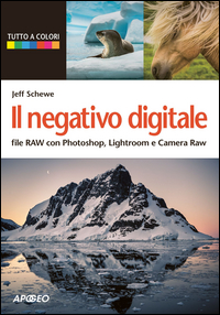 NEGATIVO DIGITALE - FILE RAW CON PHOTOSHOP LIGHTROOM E CAMERA RAW di SCHEWE JEFF