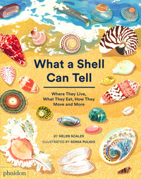 WHAT A SHELL CAN TELL di SCALES HELEN
