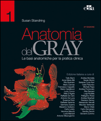 ANATOMIA DEL GRAY - LE BASI ANATOMICHE PER LA PRATICA CLINICA 2 VOLL. di STANDRING SUSAN