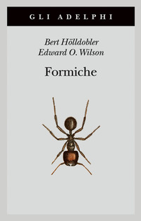 FORMICHE - STORIA DI UN\'ESPLORAZIONE SCIENTIFICA di HOLLDOBLER B. - WILSON E.O.