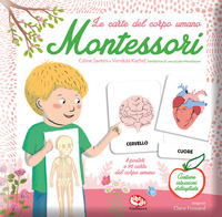 CARTE DEL CORPO UMANO - MONTESSORI