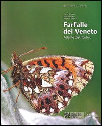 FARFALLE DEL VENETO - ATLANTE DISTRIBUTIVO di BONATO L. - ULIANA M. - BERETTA S.