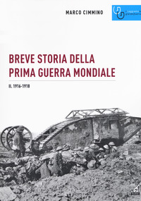 BREVE STORIA DELLA PRIMA GUERRA MONDIALE 2 - 1916 - 1918