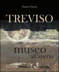 TREVISO - MUSEO ALL\'APERTO