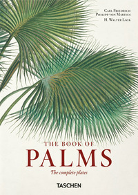 BOOK OF PALMS - EDIZ. INGLESE ITALIANA E SPAGNOLA - 40TH ANNIVERSARY EDITION