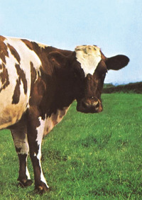 ATOM HEART MOTHER - IL CUORE NUOVO DEI PINK FLOYD