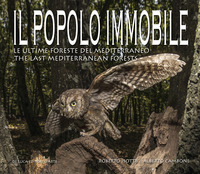 POPOLO IMMOBILE - LE ULTIME FORESTE DEL MEDITERRANEO