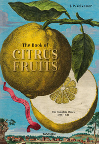 JOHANN CHRISTOPH VOLKAMER. THE BOOK OF CITRUS FRUITS. EDIZ. INGLESE, FRANCESE E TEDESCA