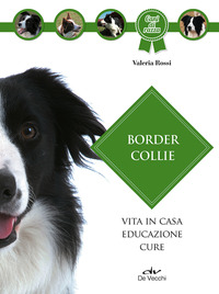 BORDER COLLIE - VITA IN CASA EDUCAZIONE CURE