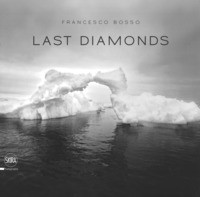 LAST DIAMONDS di BOSSO FRANCESCO