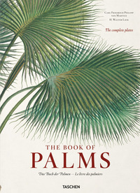 THE BOOK OF PALMS XL