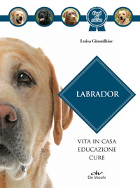 LABRADOR - VITA IN CASA EDUCAZIONE CURE