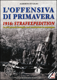 OFFENSIVA DI PRIMAVERA 1916 STRAFEXPEDITION