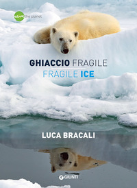 GHIACCIO FRAGILE FRAGILE ICE
