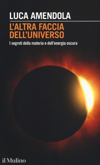 ALTRA FACCIA DELL\'UNIVERSO - I SEGRETI DELLA MATERIA E DELL\'ENERGIA OSCURA di AMENDOLA LUCA