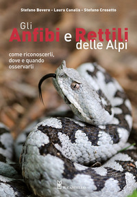 ANFIBI E RETTILI DELLE ALPI - COME RICONOSCERLI DOVE E QUANDO OSSERVARLI