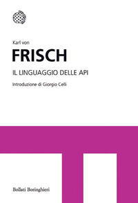 LINGUAGGIO DELLE API