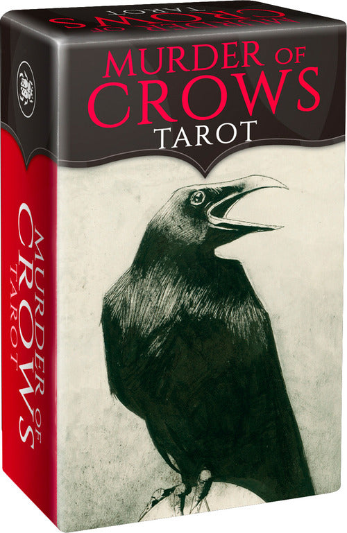 Mini murder of crows tarot con libro 