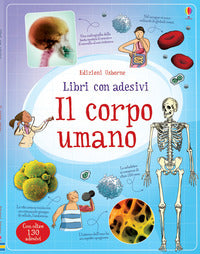 Corpo umano 