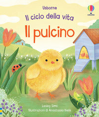 Pulcino - il ciclo della vita 