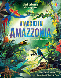 Viaggio in amazzonia 