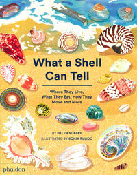 What a shell can tell 