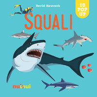Squali - 10 pop up 