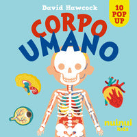Corpo umano - sorprendenti pop up 