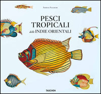 Pesci tropicali delle indie orientali 