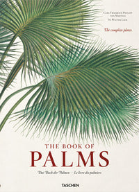 The book of palms 
