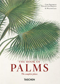 Book of palms - ediz. inglese italiana e spagnola - 40th anniversary edition 