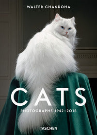 Cats- photographs 1942-2018 