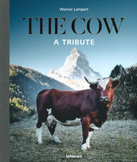 The cow a tribute 