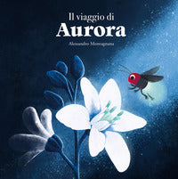 Viaggio di aurora 