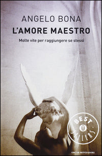 Amore maestro - molte vite per raggiungere se stessi 