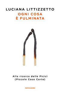Ogni cosa e' fulminata 