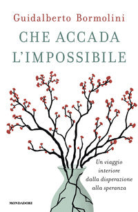 Che accada l'impossibile - un viaggio interiore dalla disperazione alla speranza 
