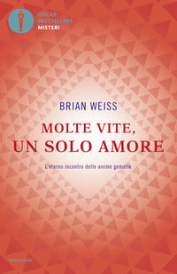 Molte vite un solo amore 