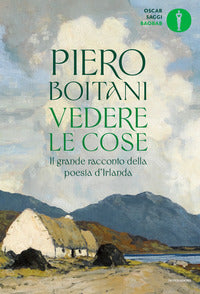 Vedere le cose - il grande racconto della poesia d'irlanda 