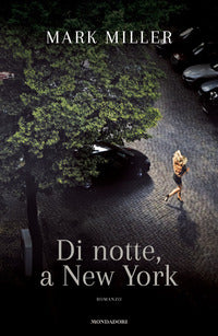Di notte a new york 