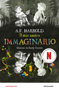 Mio amico immaginario 