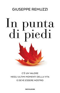 In punta di piedi - c'e' un valore negli ultimi momenti della vita e deve essere nostro 