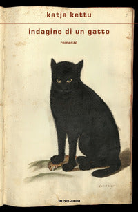 Indagine di un gatto 
